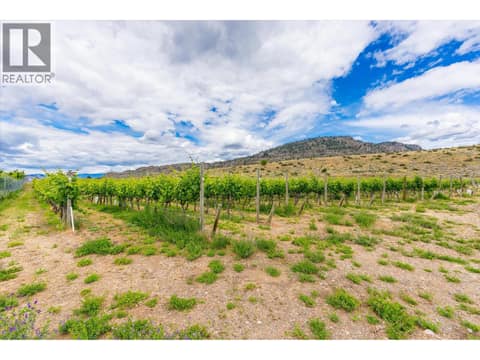 Photo 80 of 4576 Black Sage Road, Oliver Rural
