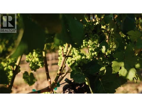 Wineries at 342 Grange Drive, Predator Ridge, Vernon