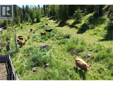Photo 11 of 3260 McGillivray Creek Road, Heffley, Kamloops