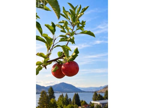 Photo 42 of 319 Carmel Crescent, Eastside/Lkshr Hi/Skaha Est, Okanagan Falls