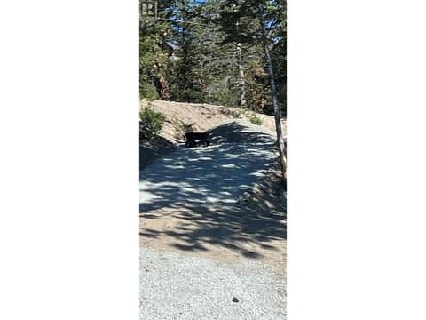 Photo 7 of 4401 Westside Road Unit# Lot 22, Westside Road, Kelowna