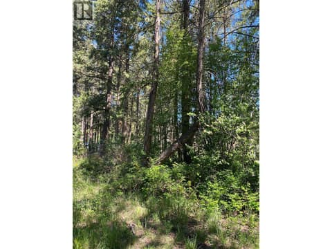 Photo 8 of 867 Balsam Road, Fintry, Kelowna