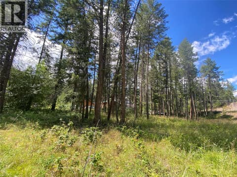 Flat lot with front AND back access at 867 Balsam Road, Fintry, Kelowna