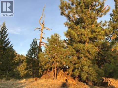 Photo 13 of 470 Sasquatch Trail Trail, Osoyoos Rural