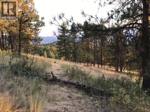 Photo 14 of 470 Sasquatch Trail Trail, Osoyoos Rural