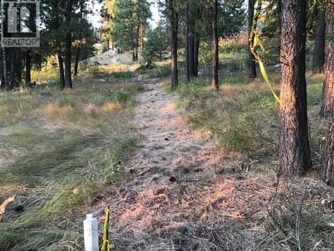 Photo 16 of 470 Sasquatch Trail Trail, Osoyoos Rural