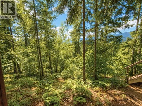 Trails to lower parcel but caution required with grade at 87 Dolly Varden Road, Ashton Crk/Mabel Lk, Enderby