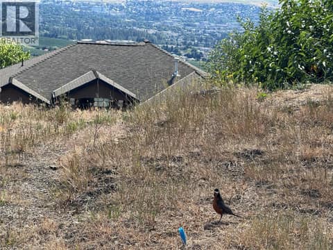 This little guy is waiting for you! at 1408 Red Mountain Place, Foothills, Vernon
