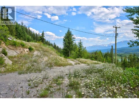 Photo 21 of 1664 TRANS CANADA  N Highway, West & North Highway 1, Golden