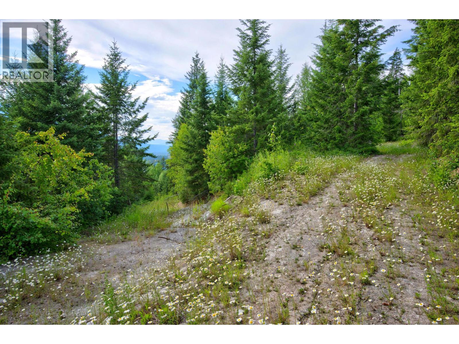 Photo 31 of 1664 TRANS CANADA  N Highway, West & North Highway 1, Golden
