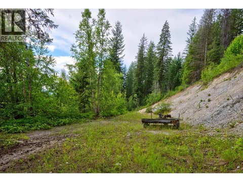 Photo 33 of 1664 TRANS CANADA  N Highway, West & North Highway 1, Golden
