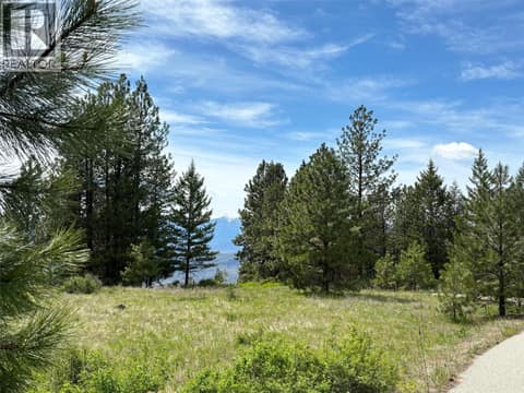 Photo 4 of 500 Sasquatch Trail, Osoyoos Rural