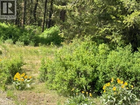 Photo 6 of 500 Sasquatch Trail, Osoyoos Rural