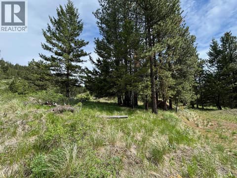 Photo 8 of 500 Sasquatch Trail, Osoyoos Rural