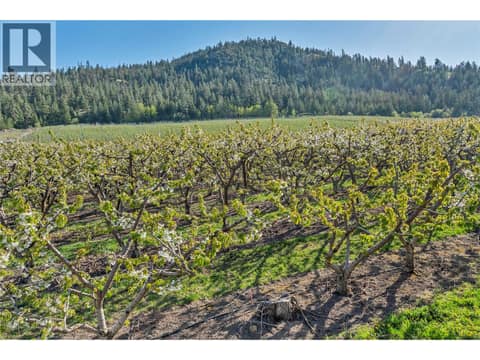 Photo 30 of 9820 RIPPEN Avenue, Summerland Rural