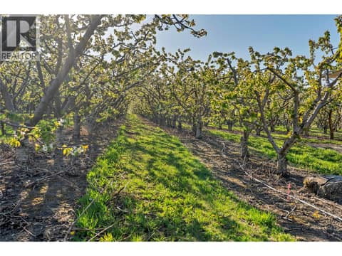 Photo 59 of 9820 RIPPEN Avenue, Summerland Rural