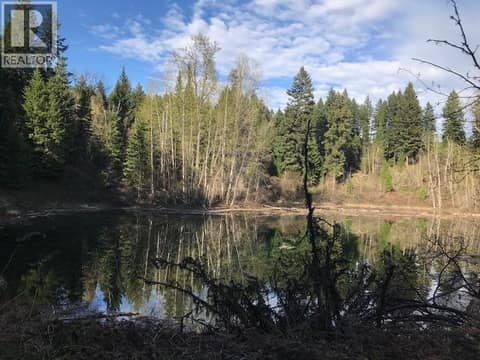 Pond at 6059 Lake Bay Road, Heffley, Kamloops