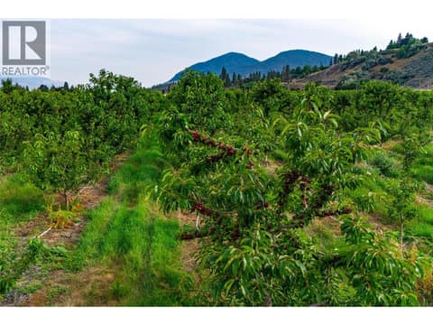 Photo 24 of 4500 Landry Crescent, Trout Creek, Summerland