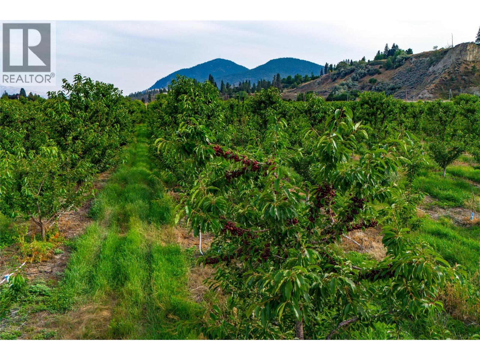 Photo 3 of 4500 Landry Crescent, Trout Creek, Summerland