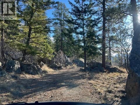Driveway up to the upper part. at 21825 Garnet Valley Road, Summerland Rural