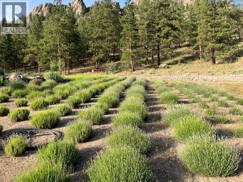 Lower side garden. at 21825 Garnet Valley Road, Summerland Rural
