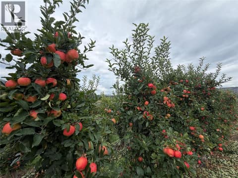 Photo 10 of 9827 Gillard Avenue, Summerland Rural