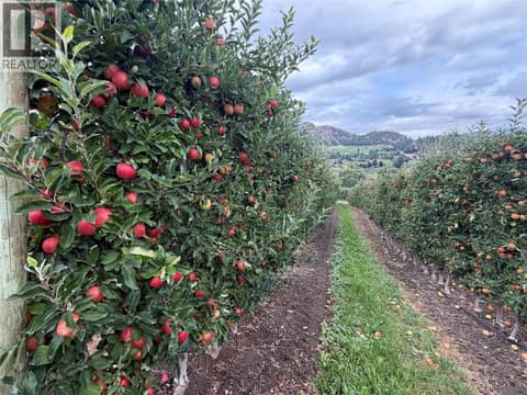 Photo 2 of 9827 Gillard Avenue, Summerland Rural