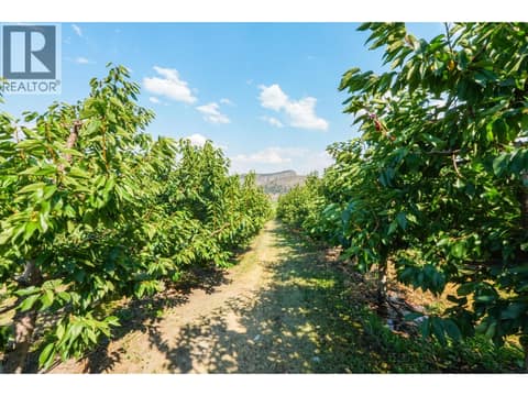 Photo 23 of 9827 Gillard Avenue, Summerland Rural