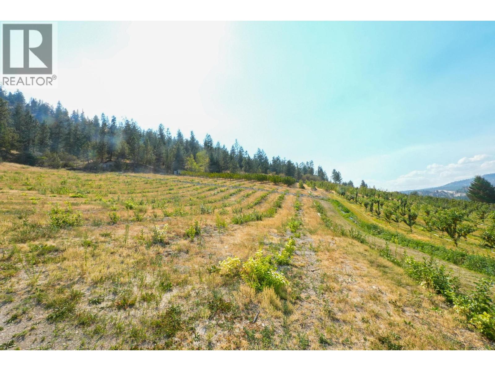 Photo 27 of 9827 Gillard Avenue, Summerland Rural