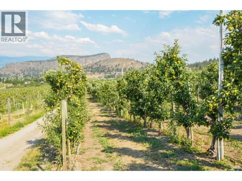 Photo 29 of 9827 Gillard Avenue, Summerland Rural