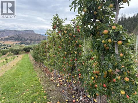 Photo 30 of 9827 Gillard Avenue, Summerland Rural