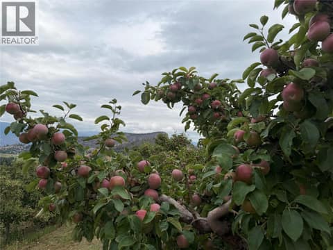 Photo 31 of 9827 Gillard Avenue, Summerland Rural