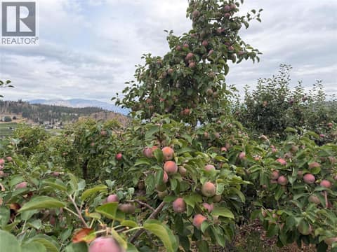 Photo 32 of 9827 Gillard Avenue, Summerland Rural