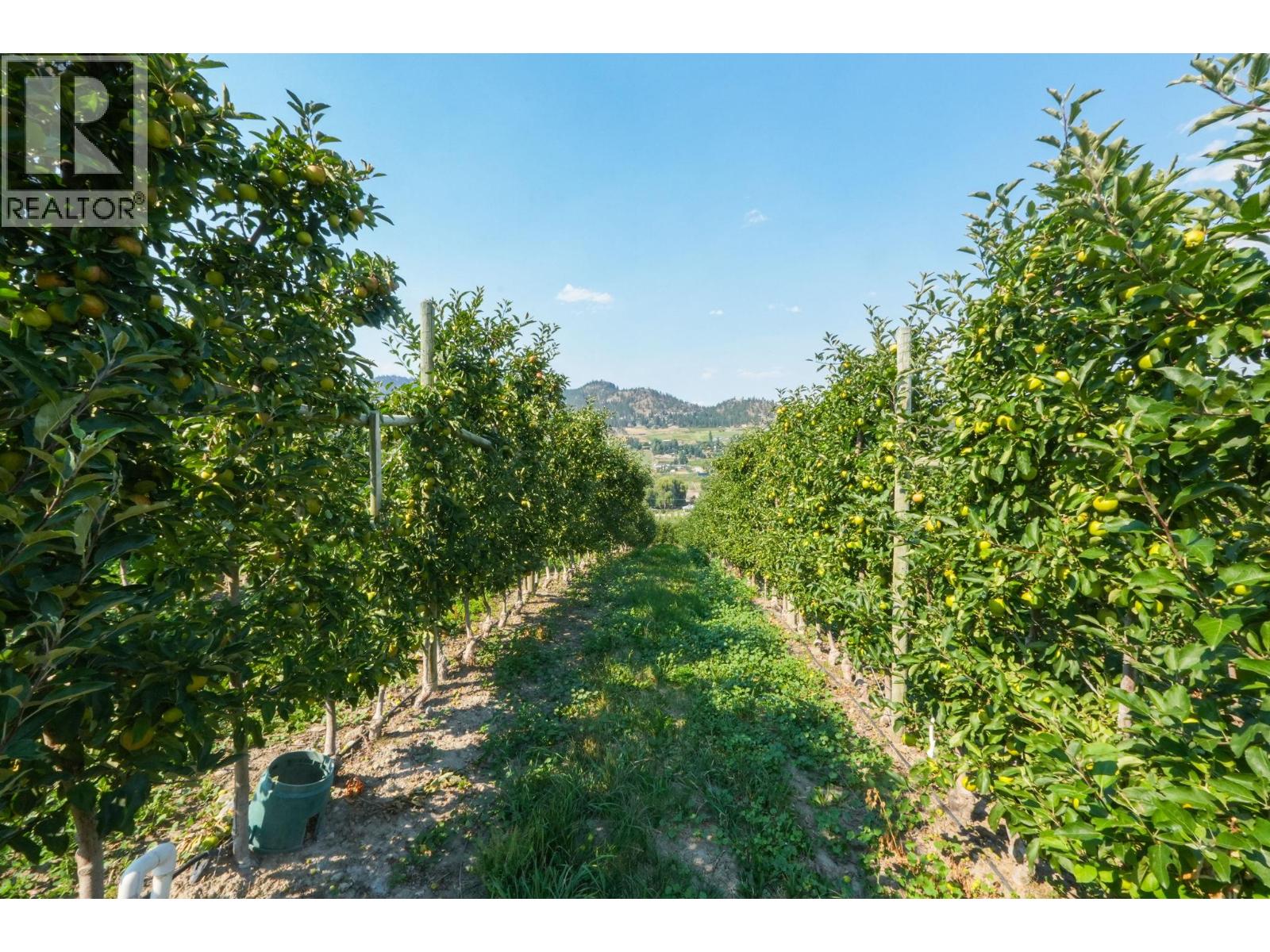 Photo 8 of 9827 Gillard Avenue, Summerland Rural