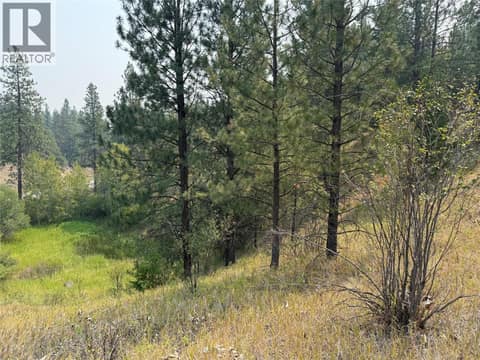 Photo 10 of FAIRVIEW WHITE LAKE Road Lot# 1, Oliver Rural