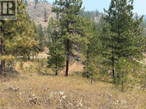 Photo 11 of FAIRVIEW WHITE LAKE Road Lot# 1, Oliver Rural