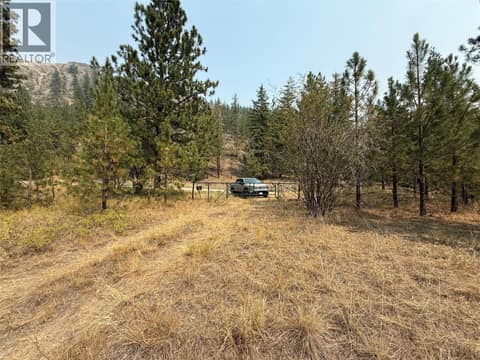 Photo 12 of FAIRVIEW WHITE LAKE Road Lot# 1, Oliver Rural