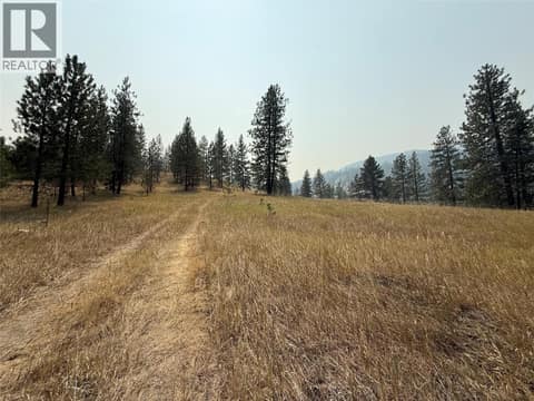 Photo 5 of FAIRVIEW WHITE LAKE Road Lot# 1, Oliver Rural