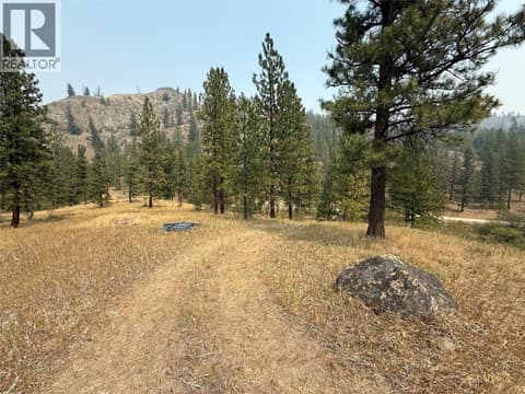 Photo 7 of FAIRVIEW WHITE LAKE Road Lot# 1, Oliver Rural
