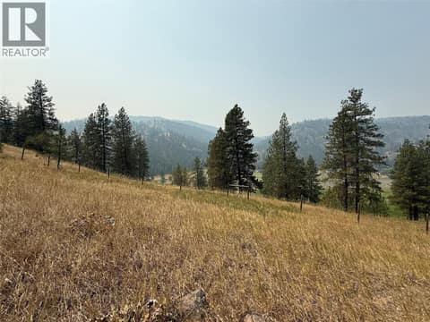 Photo 9 of FAIRVIEW WHITE LAKE Road Lot# 1, Oliver Rural