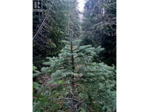 Photo 11 of Lot 1 Neville Road, West & North Highway 1, Golden