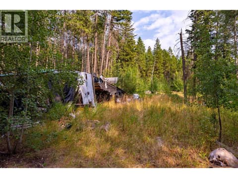 Photo 46 of 1396 Campbell Road, South Hwy 95, Golden