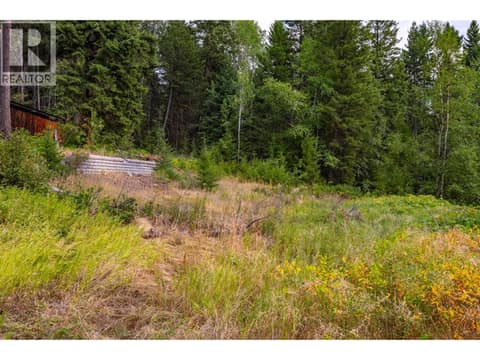 Photo 53 of 1396 Campbell Road, South Hwy 95, Golden