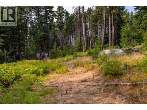 Photo 54 of 1396 Campbell Road, South Hwy 95, Golden