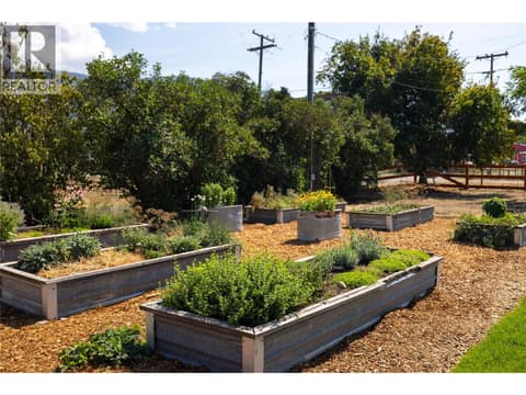 Garden bed 1 by the house with water tank at 1130 Thomas Hayes Road, Armstrong/ Spall., Spallumcheen