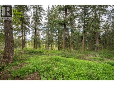 Photo 65 of 4358 Chamberlaine Road, Armstrong/ Spall., Spallumcheen
