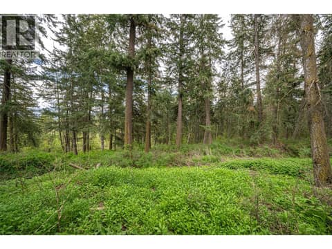 Photo 66 of 4358 Chamberlaine Road, Armstrong/ Spall., Spallumcheen