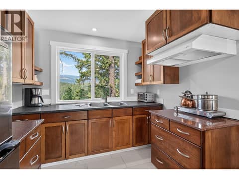 Upper level kitchen - no stove just a hotplate at 10818 Westshore Road, Okanagan North, Vernon
