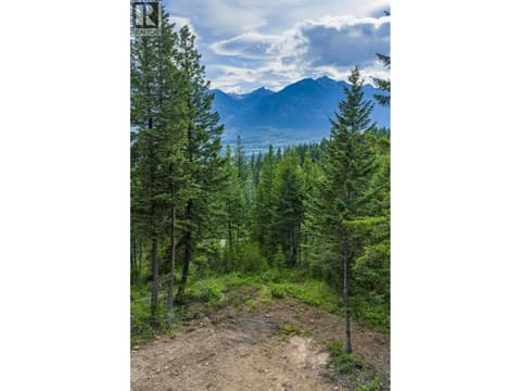 Photo 19 of Lot 31 COUGAR Drive, South Hwy 95, Golden