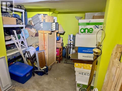 Basement bedroom at 223 Larch Avenue, North Kamloops